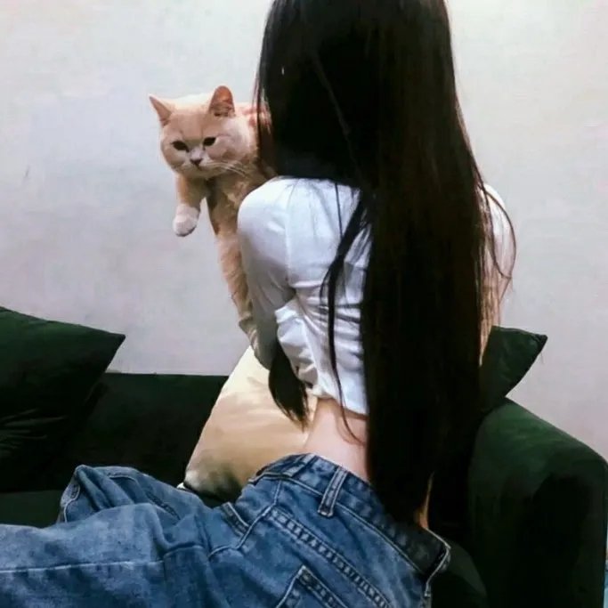 激光鹰